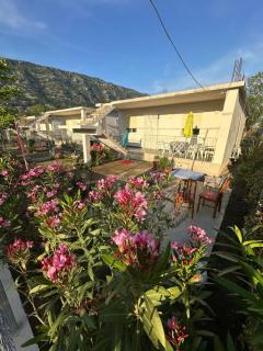 Vila Eriona - Baks-Rrjoll - 9