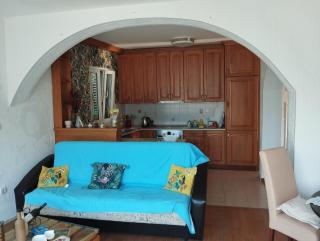 Amarillys - 2