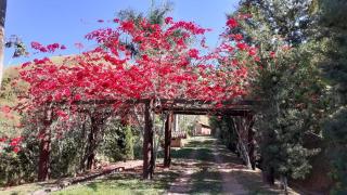 Refúgio paradisíaco em frente a Serra da Bocaina ! - São José do Barreiro - 5