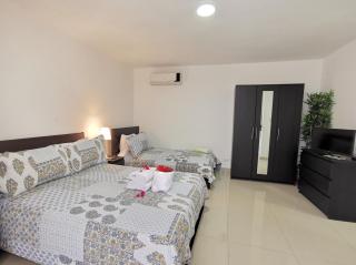 Suite with garden view and pool access - Punta Cana - 8