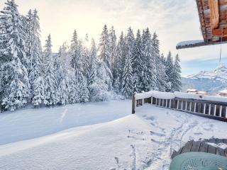 Chalet montagnard chaleureux avec poêle, terrasse et animaux acceptés - FR-1-505-154 - Notre-Dame-de-Bellecombe - 7