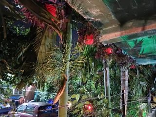 The Green View Homestay Siliguri in - Siliguri - 3