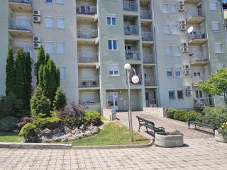 Apartman Ilić 2 - Vrnjačka Banja - 3