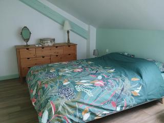 Appartement de charme à Amboise face à la Loire - 6