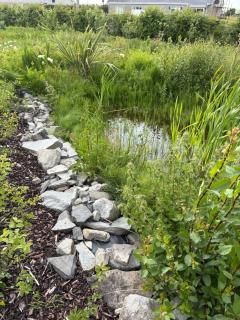 The Wild Atlantic Neurodiversity Autism Sanctuary - Milltown Malbay - 6