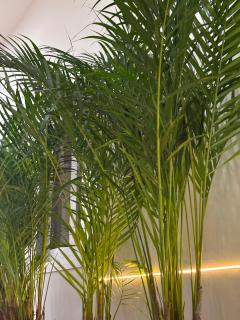 HotelTumbaga88 - Salento - 8
