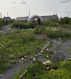 The Wild Atlantic Neurodiversity Autism Sanctuary - Milltown Malbay - 7