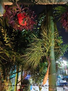 The Green View Homestay Siliguri in - Siliguri - 2