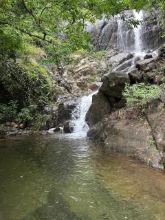 Sunset Valley Kerala Pool Resort - Monsoon Forest Cottage Stay in Idukki with Private Waterfalls, Natural Streams & Breathtaking Views - Pīrmed - 9