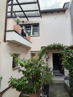 Apartment Bad Nauheim central - Bad Nauheim - 7