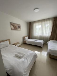 Hotel Kerchova - Kichevo - Kičevo - 2