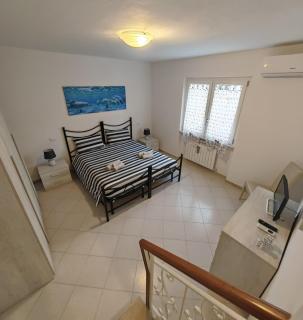 Casa La Cartolina - Querceta - 2