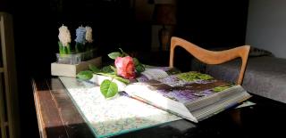 Typical Tuscan Villa with Exclusive Pool & Private Parking - Casa Paola - Montecatini Terme - 4