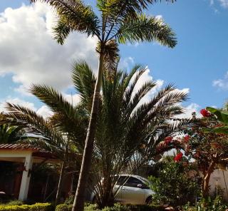 Villa Dupi - Colorado - 0