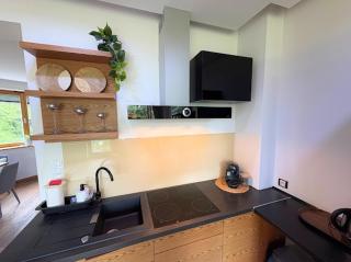 Apartament Silver Zakopane - Zakopane - 5