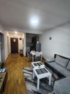 S&B Apartman Vrnjačka Banja - Vrnjačka Banja - 8