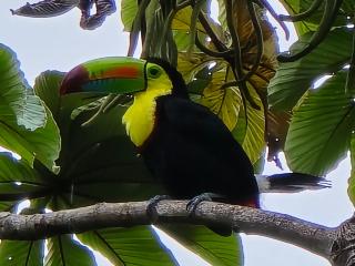 Monteverde House - 6