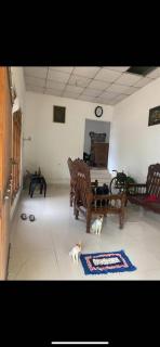 Mami Resort - Tangalle - 7