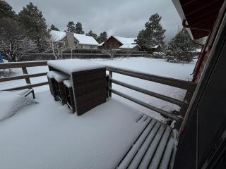 Warm and cozy retreat - Pinetop-Lakeside - 8