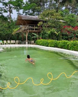 Pungara Eco-Lodge - 7