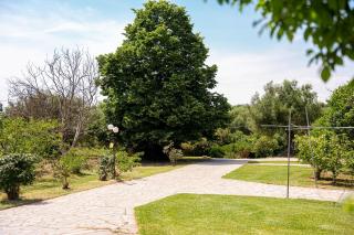 Palm Tree Villa - Nea Skioni - 8