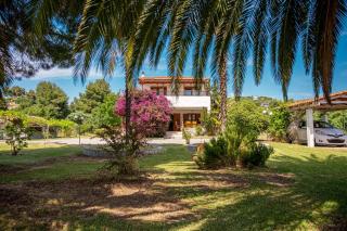 Palm Tree Villa - 2