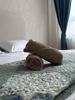 Уютная квартира 5 минут от Барыс арены - 6