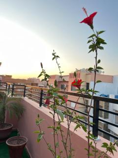 Marrakech Nadine House - Marrakesh - 9