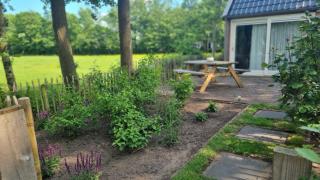 B&B in de Roos - Noordbergum - 9