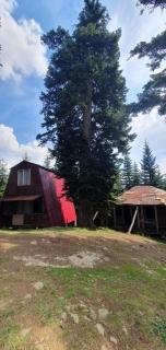 House in forest - Gomi - 7