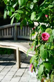 - Zuhause im Weilerblick - - Berg - 2