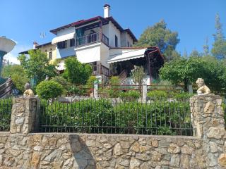 Iresioni Traditional villa - Vourvourou - 9