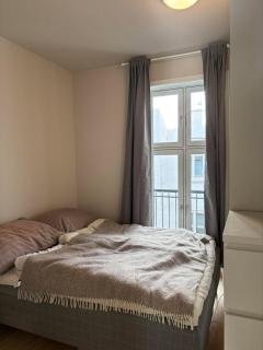 Stay in the heart of Oslo - Oslo - 7