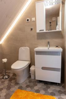 Sadrametsa guesthouse with a sauna - - 6