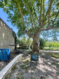 le petit chalus grand gite - Forcalquier - 7