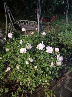 Mush Guest House in Sanahin - Alaverdi - 5