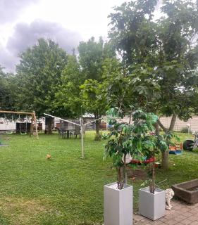 Ferienwohnung am Rhein - 6