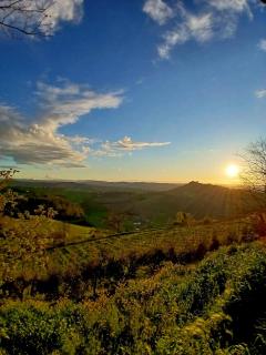 Il nido in collina Bertinoro - Bertinoro - 1
