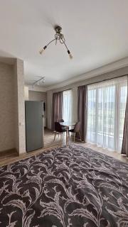 Bakuriani apartment 205 Tsakadze st 20 - Bakuriani - 9