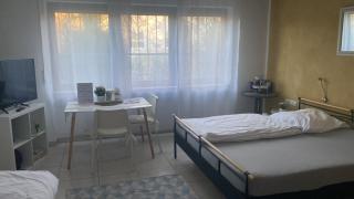 großes Gästezimmer mit Bad - Miltenberg - 9
