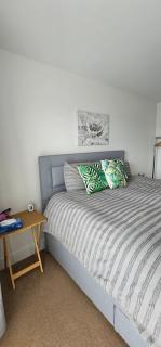 Comfortable Two Bedroom Flat For 6 People's - Londen - 6