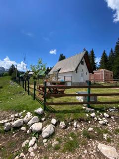 Vista Pitomine - Žabljak - 9