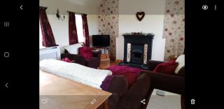 Short & Sweet Alpaca Retreat - Penrhos-Lligwy - 1