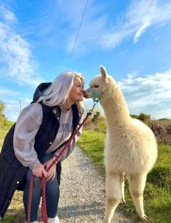 Short & Sweet Alpaca Retreat - Penrhos-Lligwy - 2