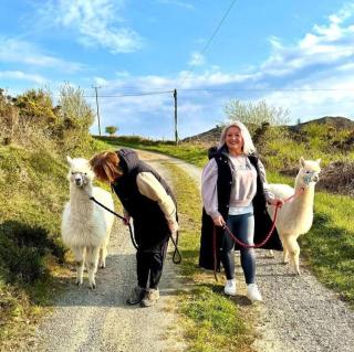 Short & Sweet Alpaca Retreat - Penrhos-Lligwy - 0