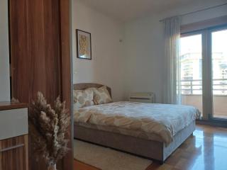 Apartman City kvart Podgorica - Podgorica - 9