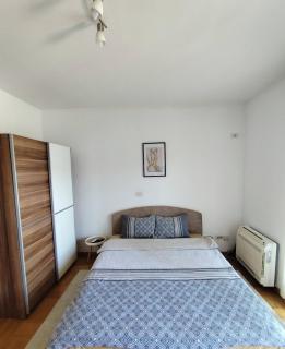 Apartman City kvart Podgorica - Podgorica - 2