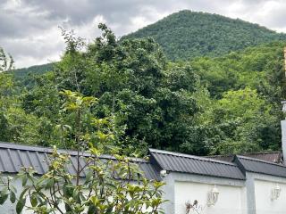 Qafqaz Mountside Chalet - Gabala - 4