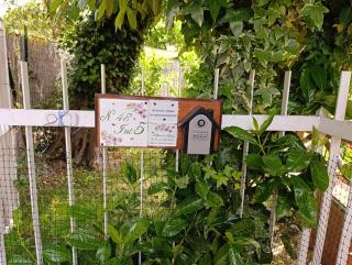 Il Giardino Fiorito - Trevignano Romano - 9