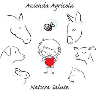 Agriturismo Natura Salute - San Biagio di Callalta - 2